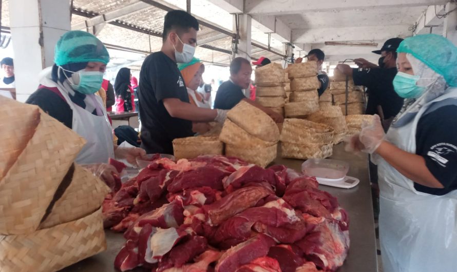 RPH Surabaya Layani Pemotongan 160 Sapi Kurban