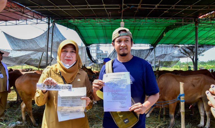 DKPP Surabaya Pastikan Hewan Kurban Sehat dan Miliki Rekomendasi DKPP
