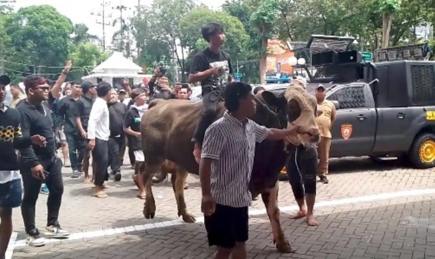 Ratusan Jagal Pegirian Gelar Aksi Tolak Rekolasi Oso Wilangun di DPRD Surabaya