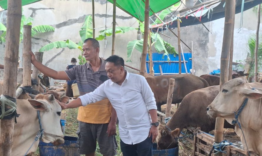 DPRD Minta Kelurahan Responsif Kawal Penataan Lapak Kurban Surabaya