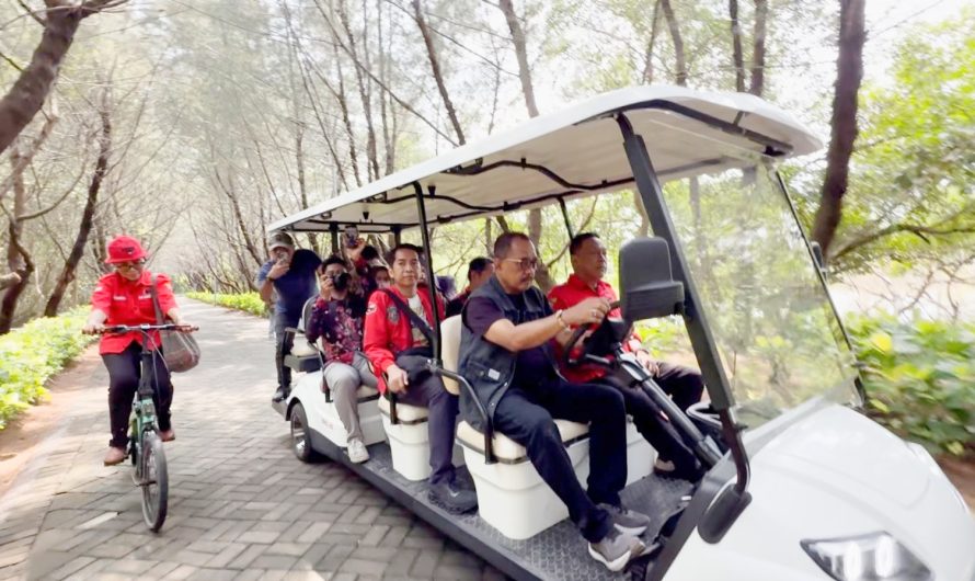 Susuri Kawasan Mangrove,PDIP Surabaya Pantau Kondisi Lingkungan Pesisir